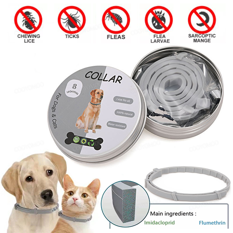 ปลอกคอกันเห็บและหมัดสำหรับสุนั - Pet Immune Pir Sensor บทวิจารณ์และราคา